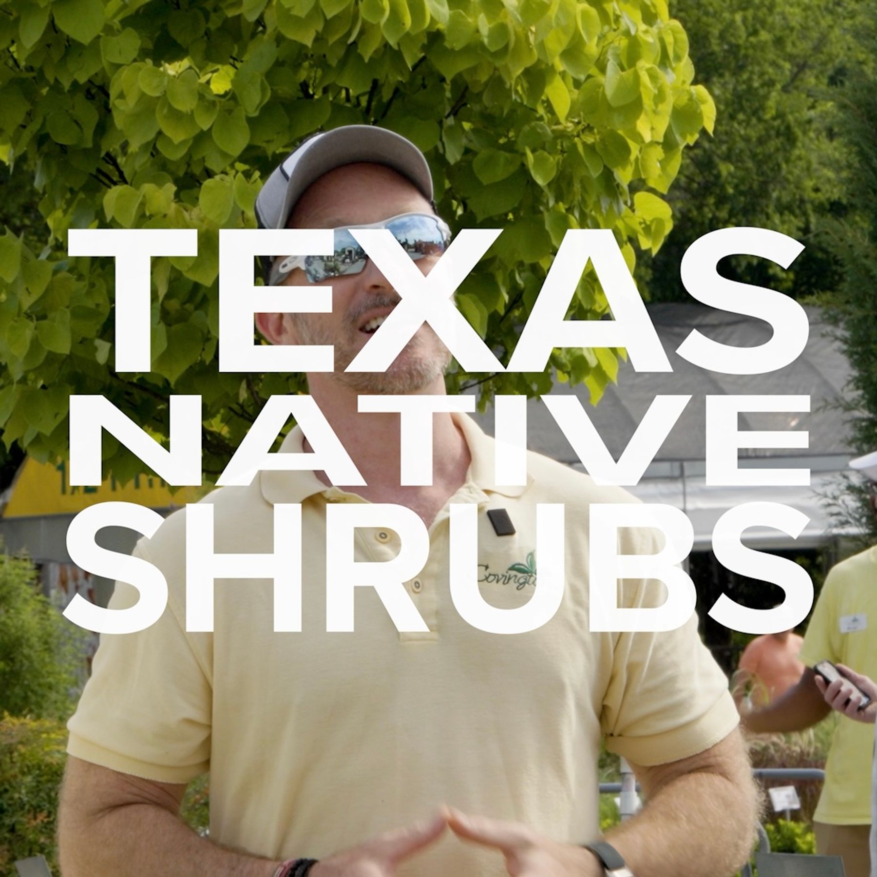 Texas Native Shrubs SQUARE